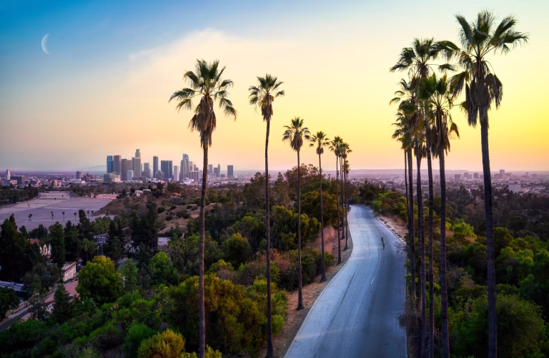 Urban Oases 2026: Explore the World’s Top Green Cities & Parks 7 Los Angeles cityscape with palm trees and greenery, skyline in the background.