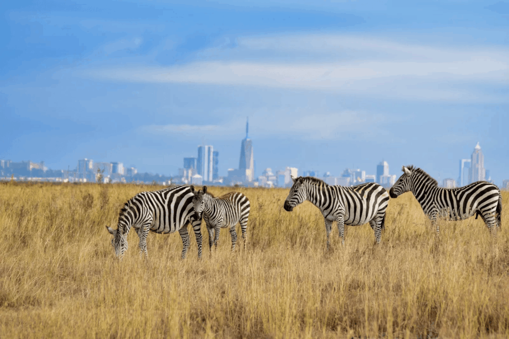 Urban Oases 2026: Explore the World’s Top Green Cities & Parks 15 Nairobi with skyscrapers in the background and zebras in the savanna in the foreground.