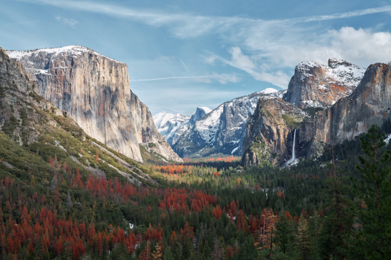 The Ultimate Travel Bucket List: 10 National Parks You Must See 10 Scenic view of mountains and pine trees in an American national park