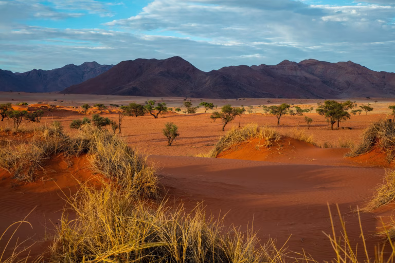 Best African Destinations: The Ultimate Guide for 2025 2 Nami Desert