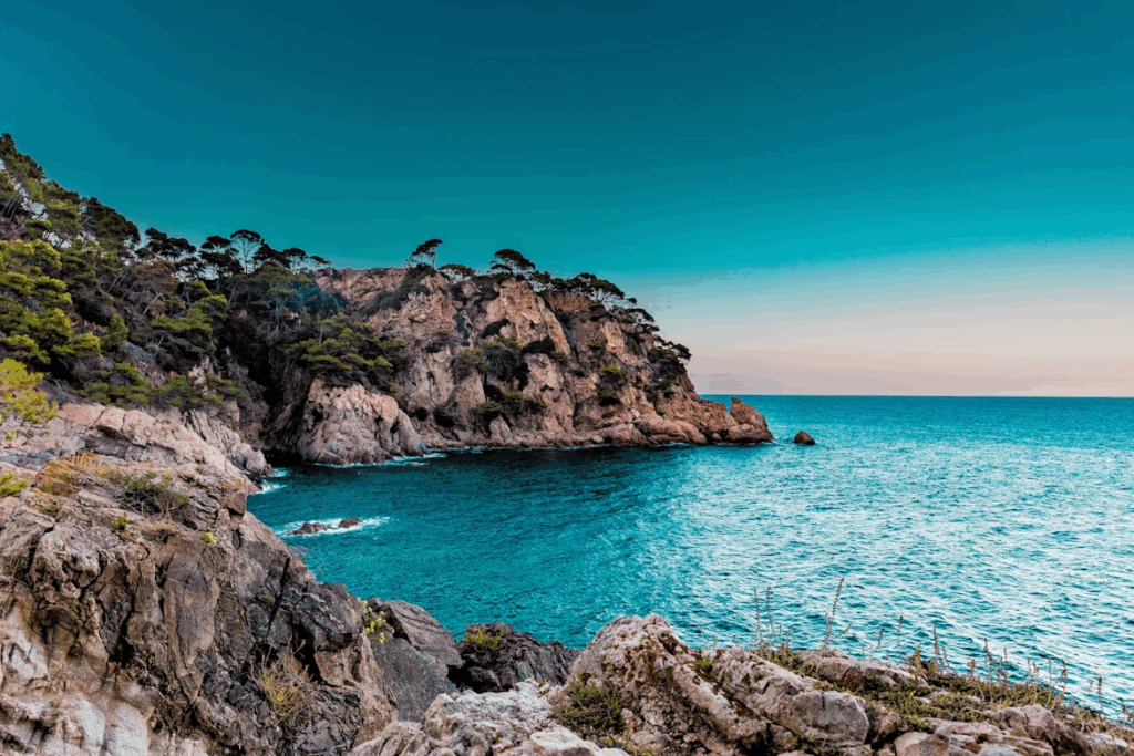 Best City in Spain for First Timers: Top 7 Destinations 2025 9 Green trees covered island