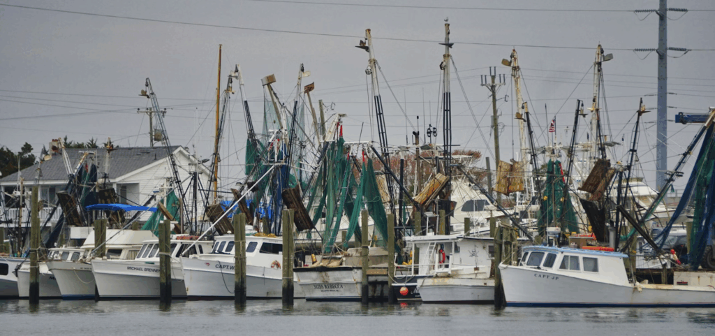 12 Stunning Photogenic Fishing Villages on the US East Coast 11 White and blue boat docked during daytime