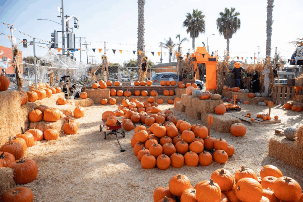 pumpkins-on-black-steel-stand