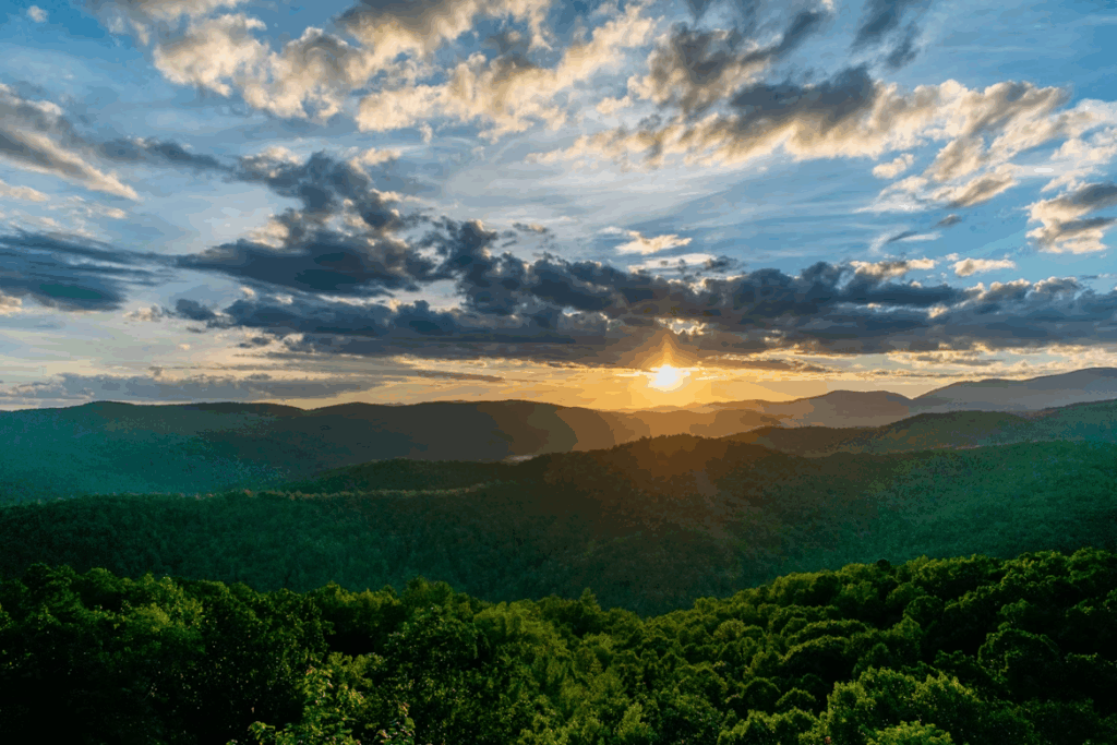 Green Trees and Mountains During Sunrise