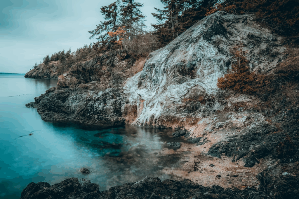 Lime Kiln Point State Park, West Side Road, Friday Harbor, WA, USA