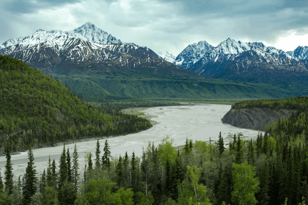 green trees near lake and snow covered mountain during daytime
