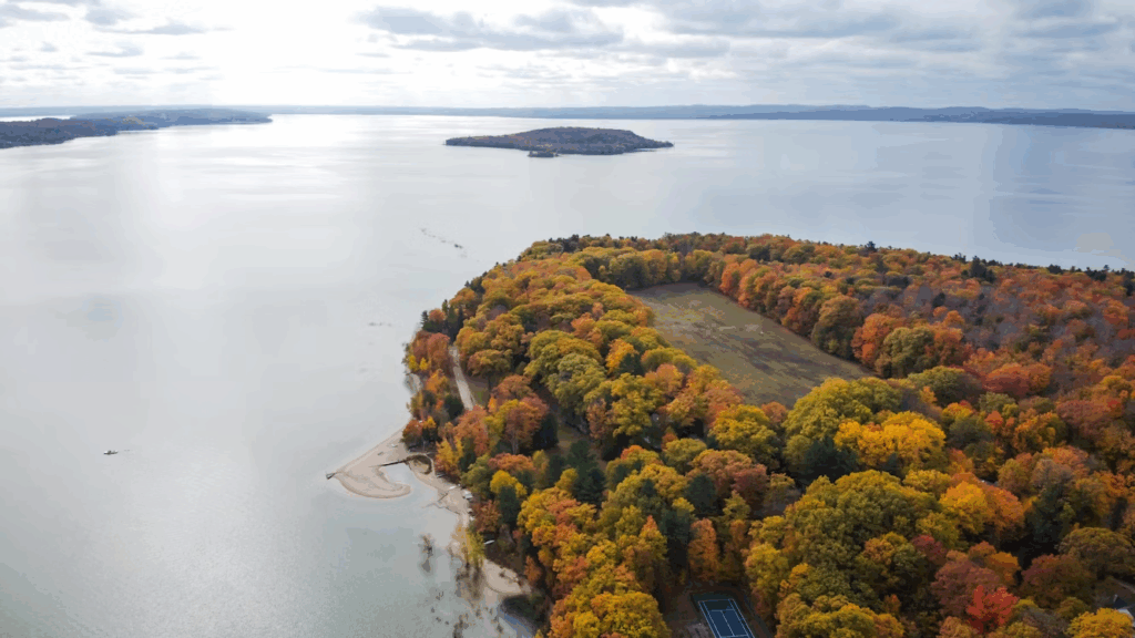 green-and-brown-trees-near-body-of-water-during-daytime