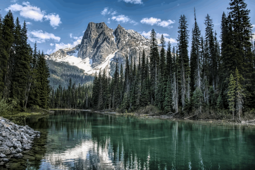 green-pine-trees-near-lake-and-snow-covered-mountain-during-daytime