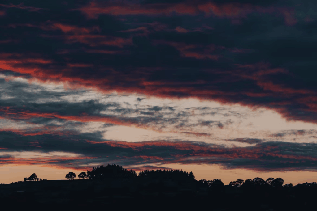 Silhouette of trees under a dramatic sunset sky with orange and gray clouds