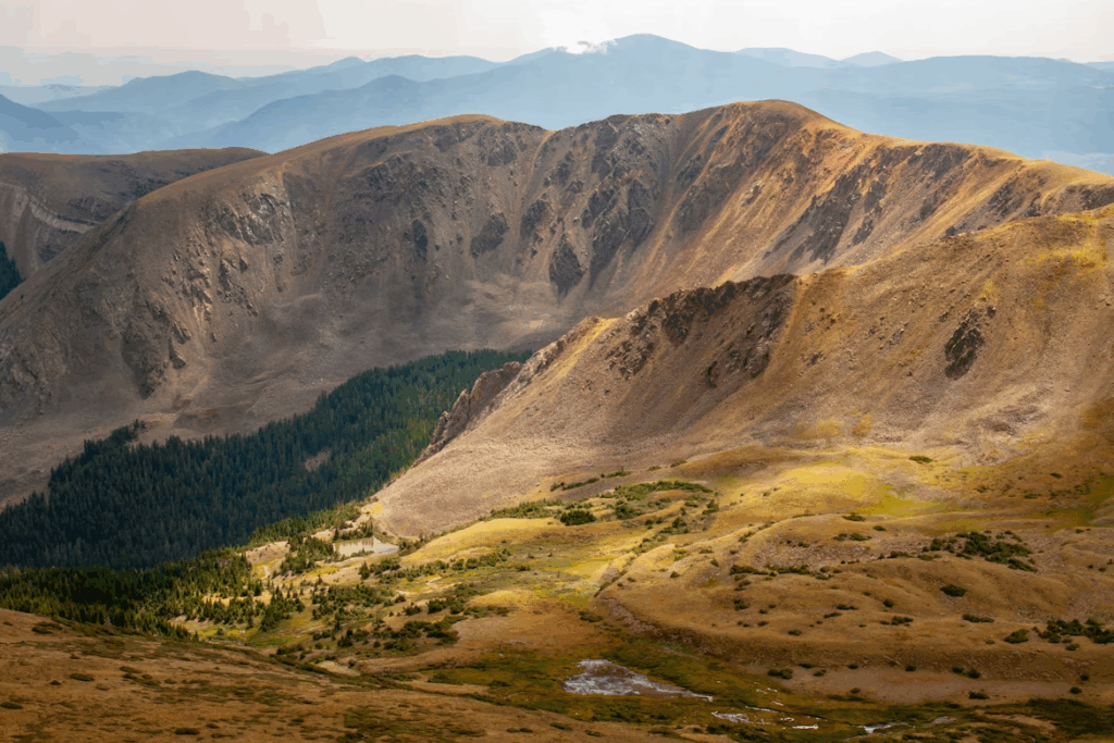Green trees covering a brown mountain under daylight
