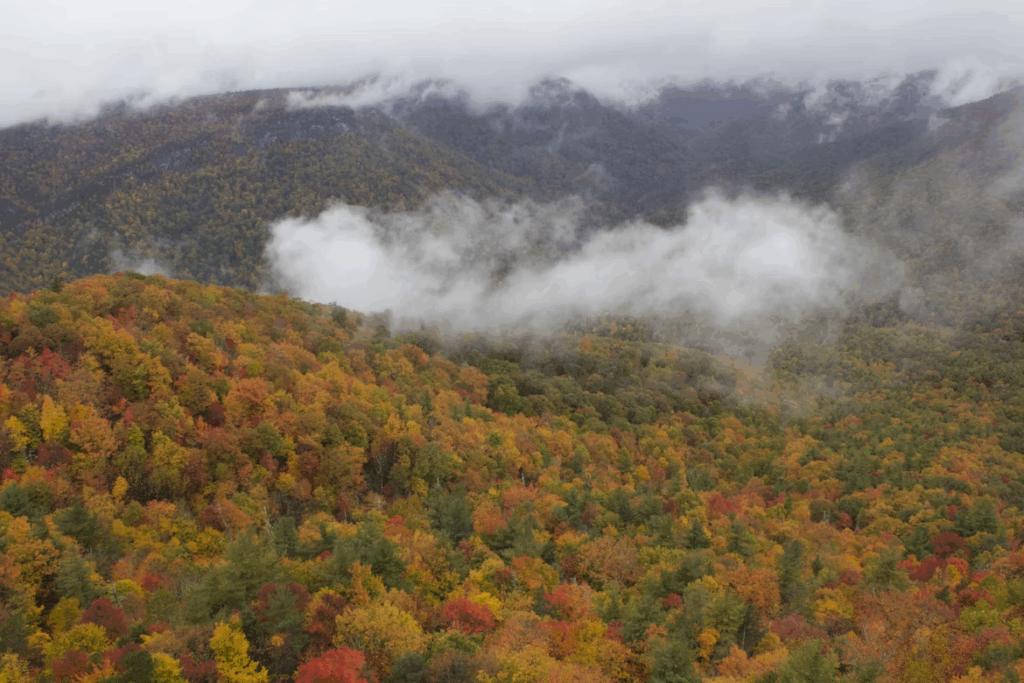 Linville Gorge, North Carolina