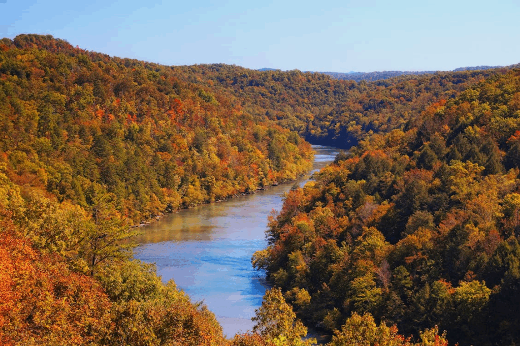  Pocono Mountains, river in the middle of the wood