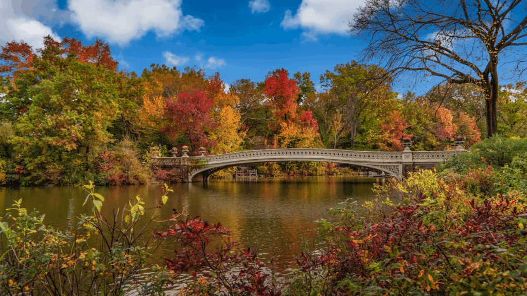 Central Park in autumn