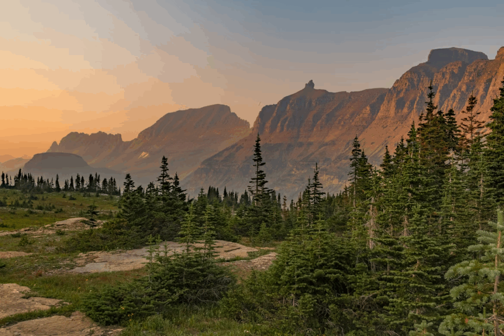 aerial photography of trees near mountain under blue sky