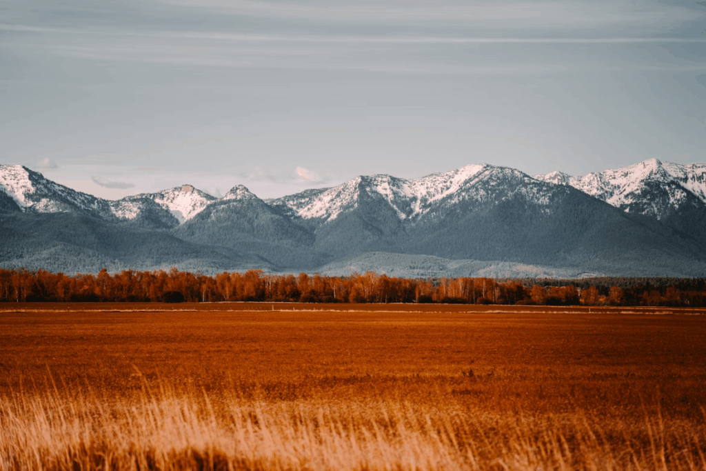 
brown grass field near mountain under blue sky during daytime
Open field with a background of snow capped mountains.