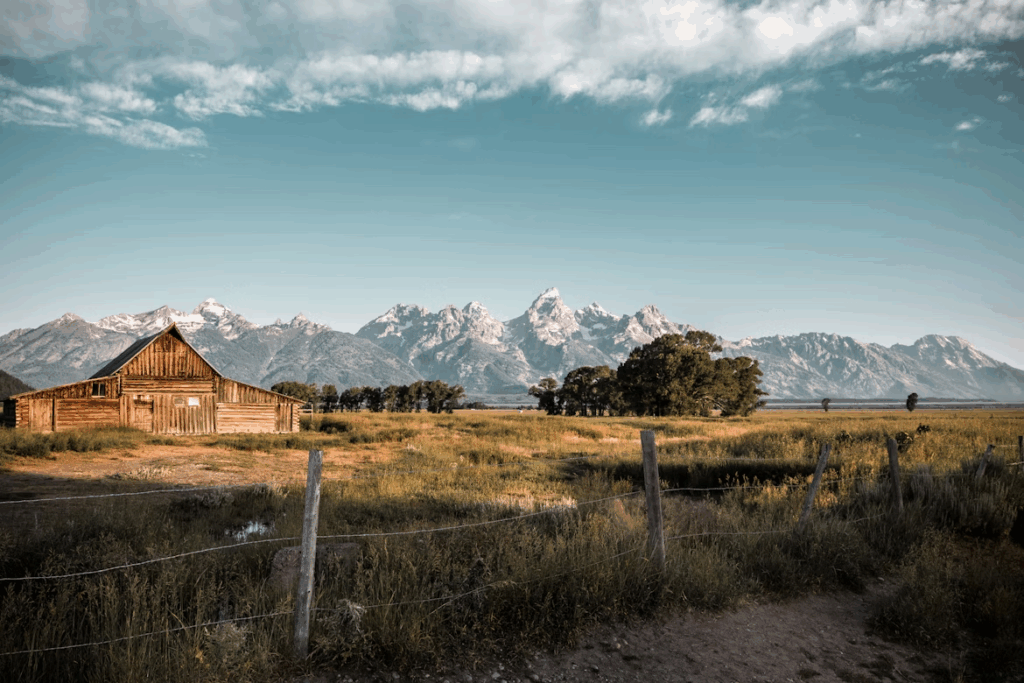 brown house near trees during daytime