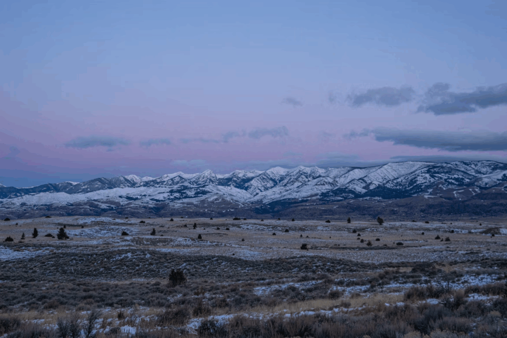 a snowy mountain range in the distance