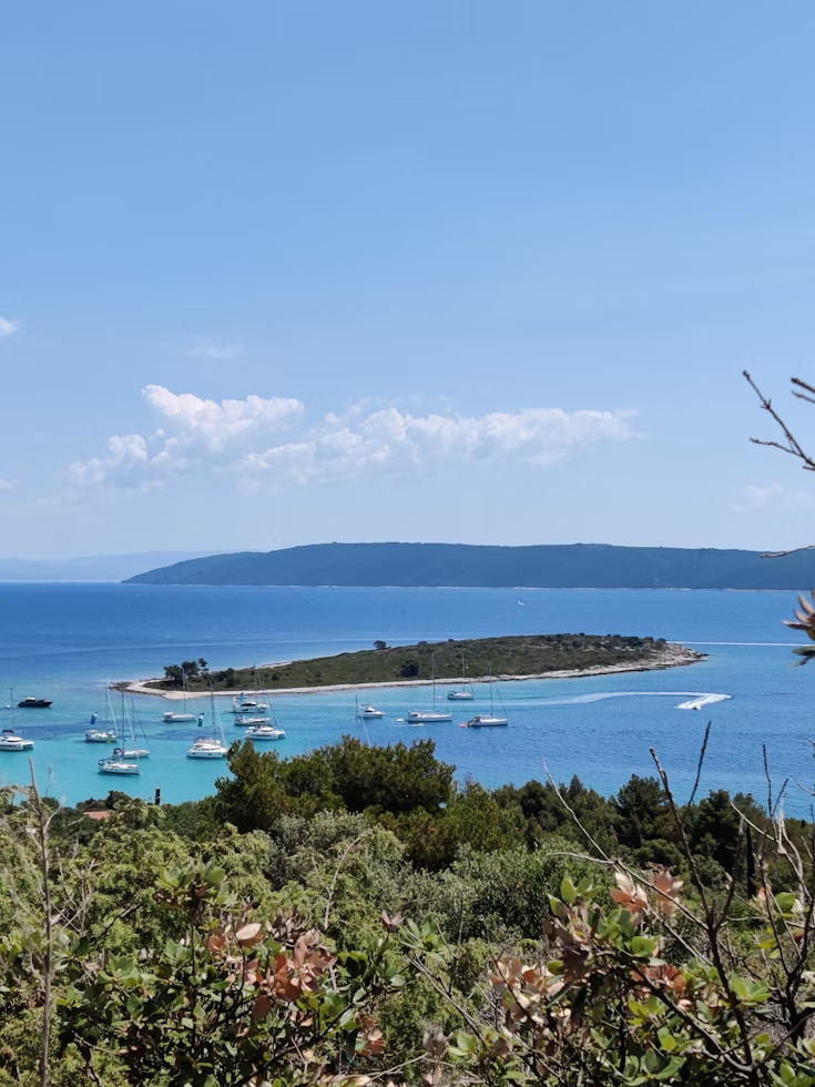 Top 7 Exquisite Hidden Lagoons for Paddleboarding in Croatia 2 green-trees-near-body-of-water-during-daytime