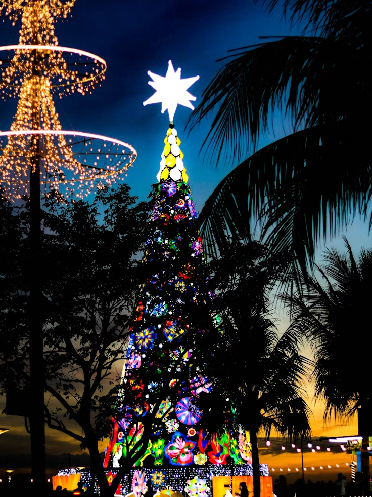 a-tree-with-lights-and-a-ferris-wheel-in-the-background