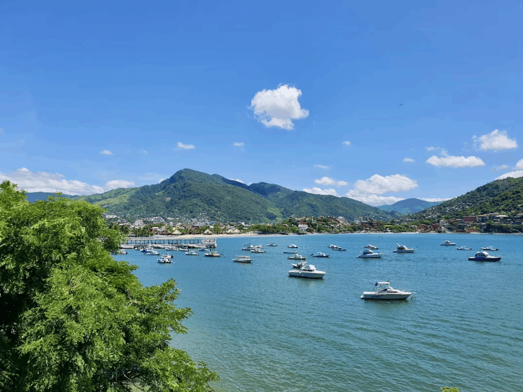 a-large-body-of-water-filled-with-lots-of-boats